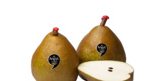 Pera premium Angys Spreafico