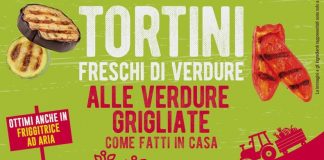 Tortino di verdure grigliate Dimmidisì
