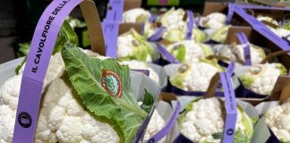 Il Cavolfiore della Piana del Sele Igp si distingue a scafale anche per il colore del packaging
