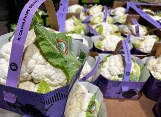 Cavolfiore della Piana del Sele Igp: dopo la prima in gdo, la Prima della Scala Il Cavolfiore della Piana del Sele Igp si distingue a scafale anche per il colore del packaging