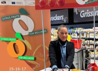 Citrus Fruits for Wellness: il progetto sulle arance italiane