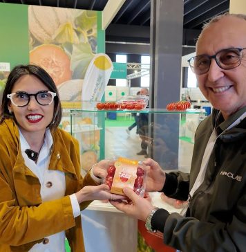 Nato dalla collaborazione tra HM Clause e Ioppì il nuovo datterino Culto