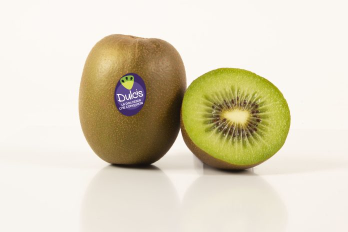 Apofruit Italia, kiwi Dulcis