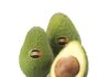 Avocado Apofruit Solarelli