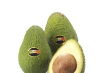 Avocado Apofruit Solarelli