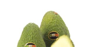 Avocado Apofruit Solarelli