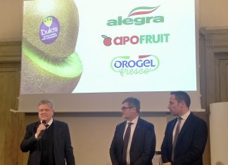 Dulcis in fundo: buona la prima per il kiwi verde di nuova generazione