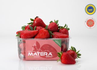La Fragola della Basilicata a marchio Matera Nicofruit sarà commercializzata con il riconoscimento Igp