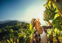 Spreafico Francesco & F.lli è sempre più impegnata sui temi Esg