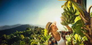 Spreafico Francesco & F.lli è sempre più impegnata sui temi Esg