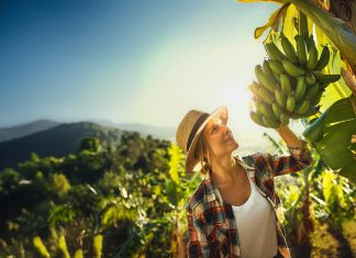 Spreafico Francesco & F.lli è sempre più impegnata sui temi Esg