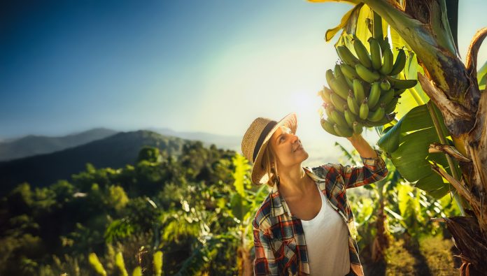 Spreafico Francesco & F.lli è sempre più impegnata sui temi Esg