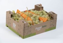 Op Agritalia a Marca valorizza l’uva da tavola di qualità Uva da tavola Op Agritalia a marchio Feel Bio