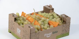 Uva da tavola Op Agritalia a marchio Feel Bio