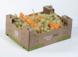 Uva da tavola Op Agritalia a marchio Feel Bio