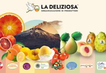 Assortimento di eccellenze ortofrutticole siciliane OP La Deliziosa: Arance Rosse IGP, Fichi d’India dell’Etna DOP, Pere Coscia e Pesche IGP con lo sfondo del vulcano Etna