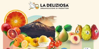 Assortimento di eccellenze ortofrutticole siciliane OP La Deliziosa: Arance Rosse IGP, Fichi d&rsquo;India dell&rsquo;Etna DOP, Pere Coscia e Pesche IGP con lo sfondo del vulcano Etna