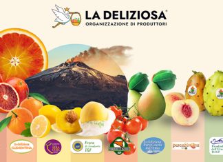 OP LA DELIZIOSA: valore e identità di Sicilia nel reparto ortofrutta Assortimento di eccellenze ortofrutticole siciliane OP La Deliziosa: Arance Rosse IGP, Fichi d’India dell’Etna DOP, Pere Coscia e Pesche IGP con lo sfondo del vulcano Etna