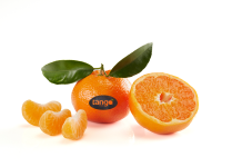 Spreafico, parte la campagna invernale di Tango Fruit Il mandarino seedless Tango Fruit