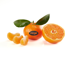 Spreafico, parte la campagna invernale di Tango Fruit Il mandarino seedless Tango Fruit