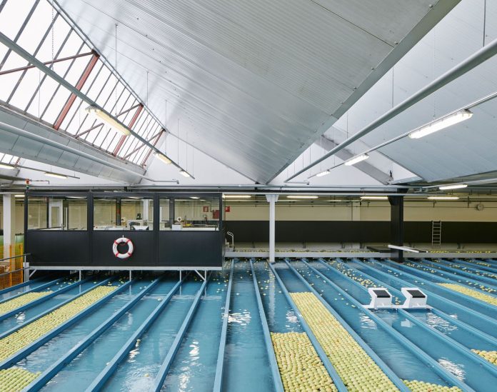 L'impianto dell’Associazione delle Cooperative Ortofrutticole della Val Venosta dedicato alle mele biologiche