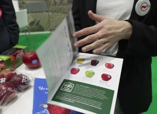 #MarcaFresh 2026: Vog rilancia con una gamma sempre più ricca e nuovi trasformati