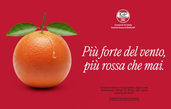 La campagna lanciata dal Consorzio dell'Arancia Rossa Igp sui social