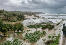 Maltempo record, ortofrutta in ginocchio in mezza Europa