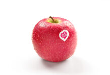 Pink Lady a Fruit Logistica: la roadmap 2026 prende forma La mela Pink Lady, un brand che punta ai giovani