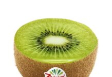Kiwi verde Zespri Hayward