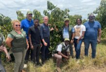 Macfrut 2026 rafforza il ponte con l’Africa: missioni in Ghana e Angola Visita in campo in Angola con il presidente Patrizio Neri