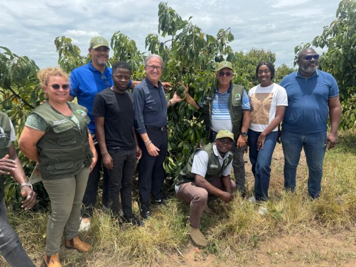 Visita in campo in Angola con il presidente Patrizio Neri