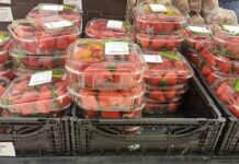 Quotazioni delle fragole in forte calo