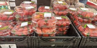 Quotazioni delle fragole in forte calo