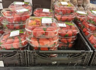 Quotazioni delle fragole in forte calo