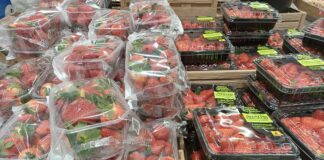 Andamento prezzi ortofrutta in Italia al 9 marzo Fragole in piena produzione