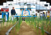 Macfrut 2026, area dinamica