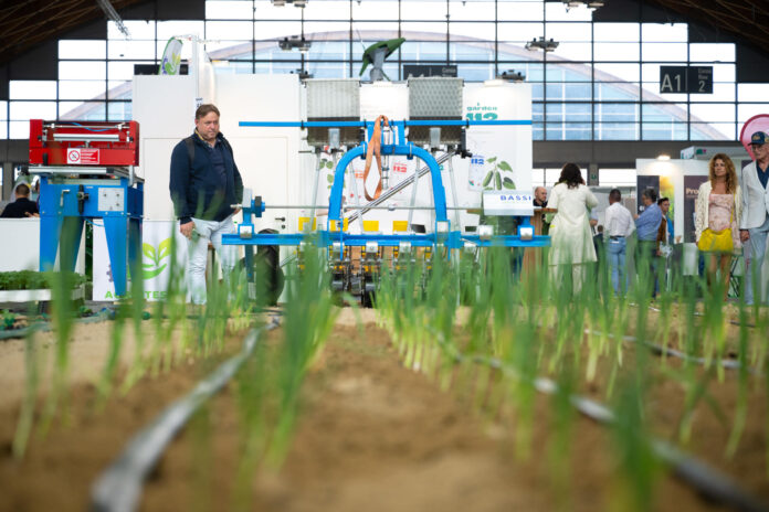 Macfrut 2026, area dinamica