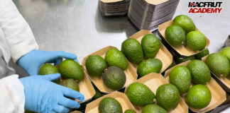 Avocado sempre più star delle vendite in Italia di ortofrutta