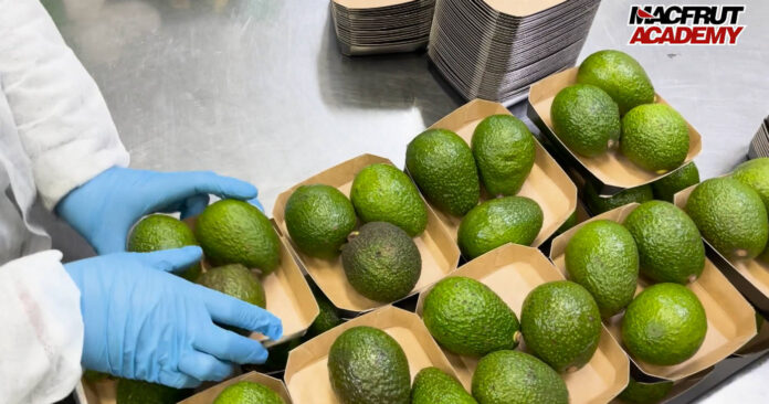 Avocado sempre più star delle vendite in Italia di ortofrutta