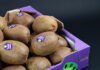 Kiwi Dulcis si caratterizza anche per il packaging distintivo