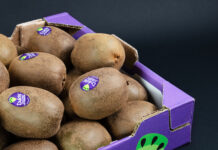 Kiwi Dulcis si caratterizza anche per il packaging distintivo