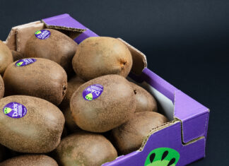 Dulcis, campagna 2025-26 oltre le attese: volumi triplicati Kiwi Dulcis si caratterizza anche per il packaging distintivo