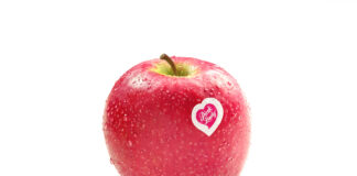 Una mela Pink Lady&reg; fresca e irrorata di goccioline d'acqua, con l'iconico bollino a cuore, su sfondo bianco neutro, pronta per il consumo