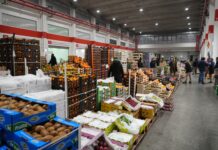 Padiglione 1 ortofrutta Foody