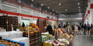 Padiglione 1 ortofrutta Foody