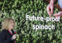 Simona Toloni, responsabile spinacio Italia Per Rijk Zwaan al Summit di Napoli