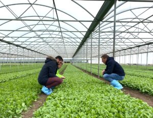 Demo Day spinacio a Battipaglia