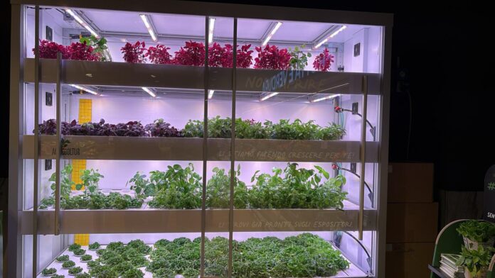 dem vertical farming 4