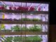 dem vertical farming 4